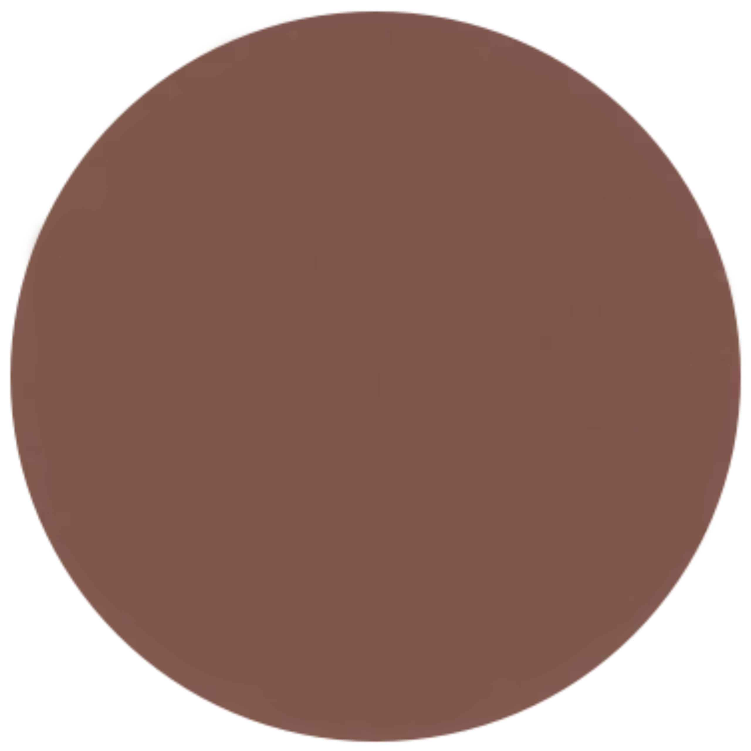 A circular close-up sample of a smooth, solid dark terracotta masonry finish. The surface has a clean, matte appearance with a fine-grained, uniform texture in a neutral slate or charcoal tone.