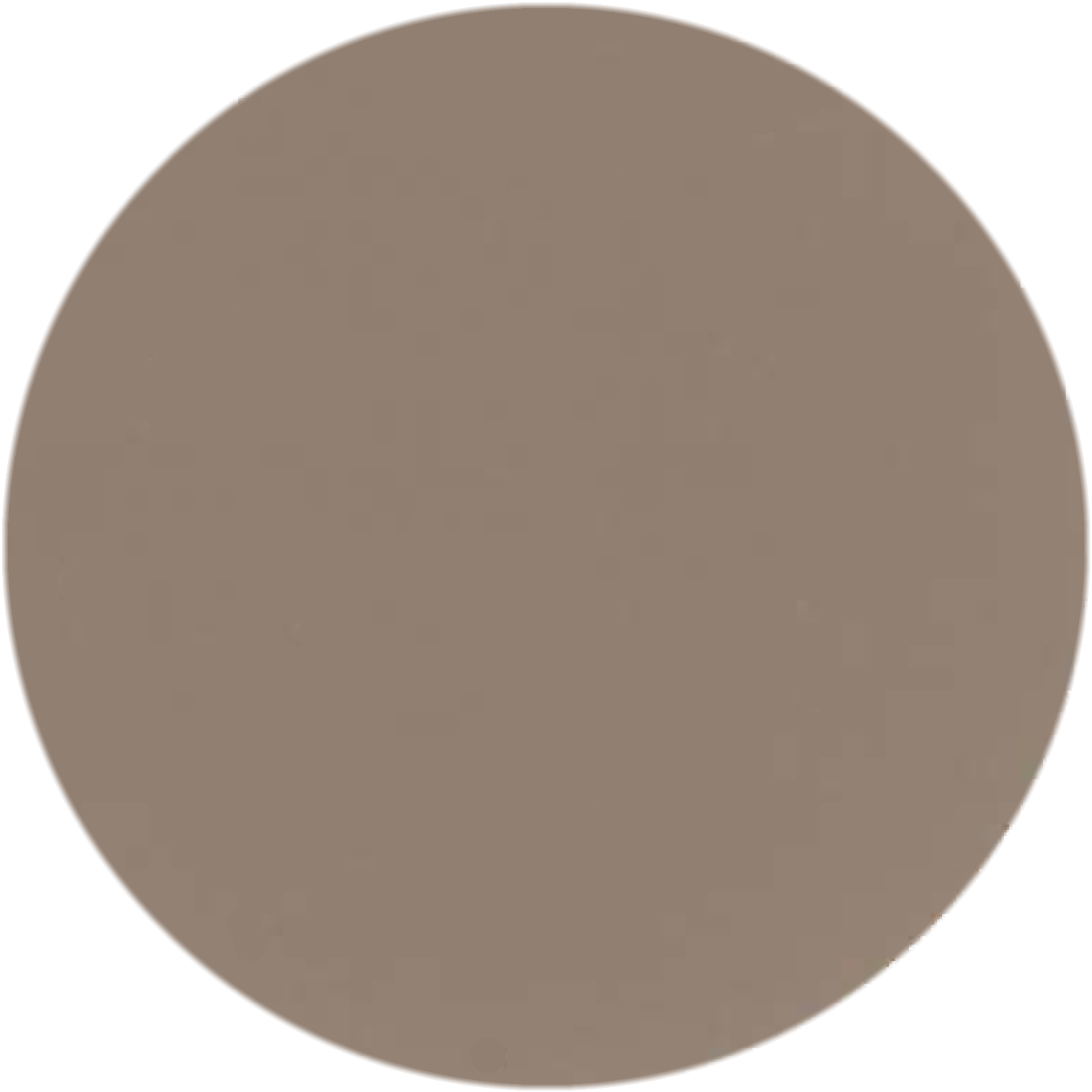A circular close-up sample of a smooth, solid taupe masonry finish. The surface has a matte, fine-grained texture with a consistent and uniform earthy-brown tone.
