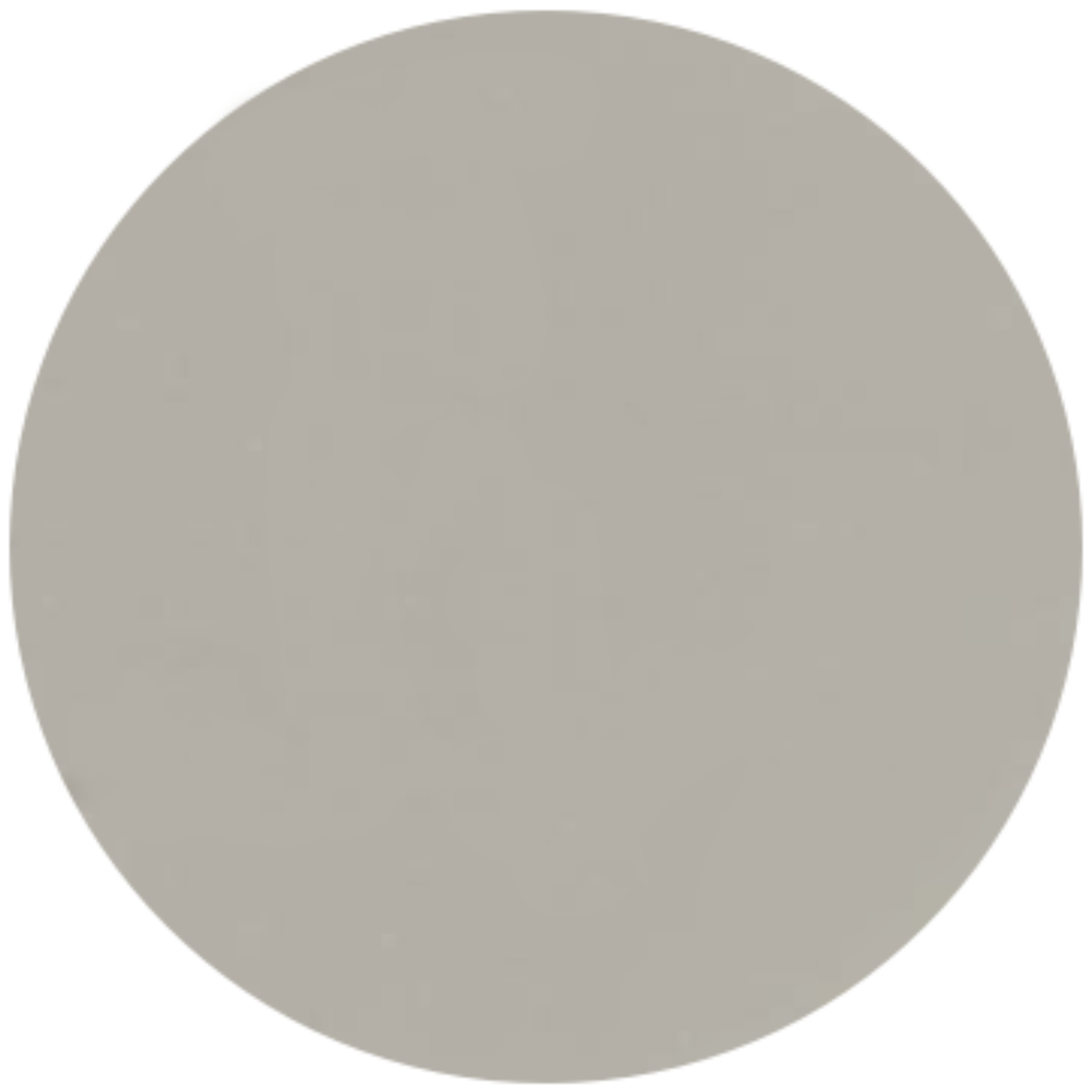 A circular close-up sample of a smooth, solid light grey masonry finish. The surface has a clean, matte appearance with a fine-grained, uniform texture in a neutral slate or charcoal tone.