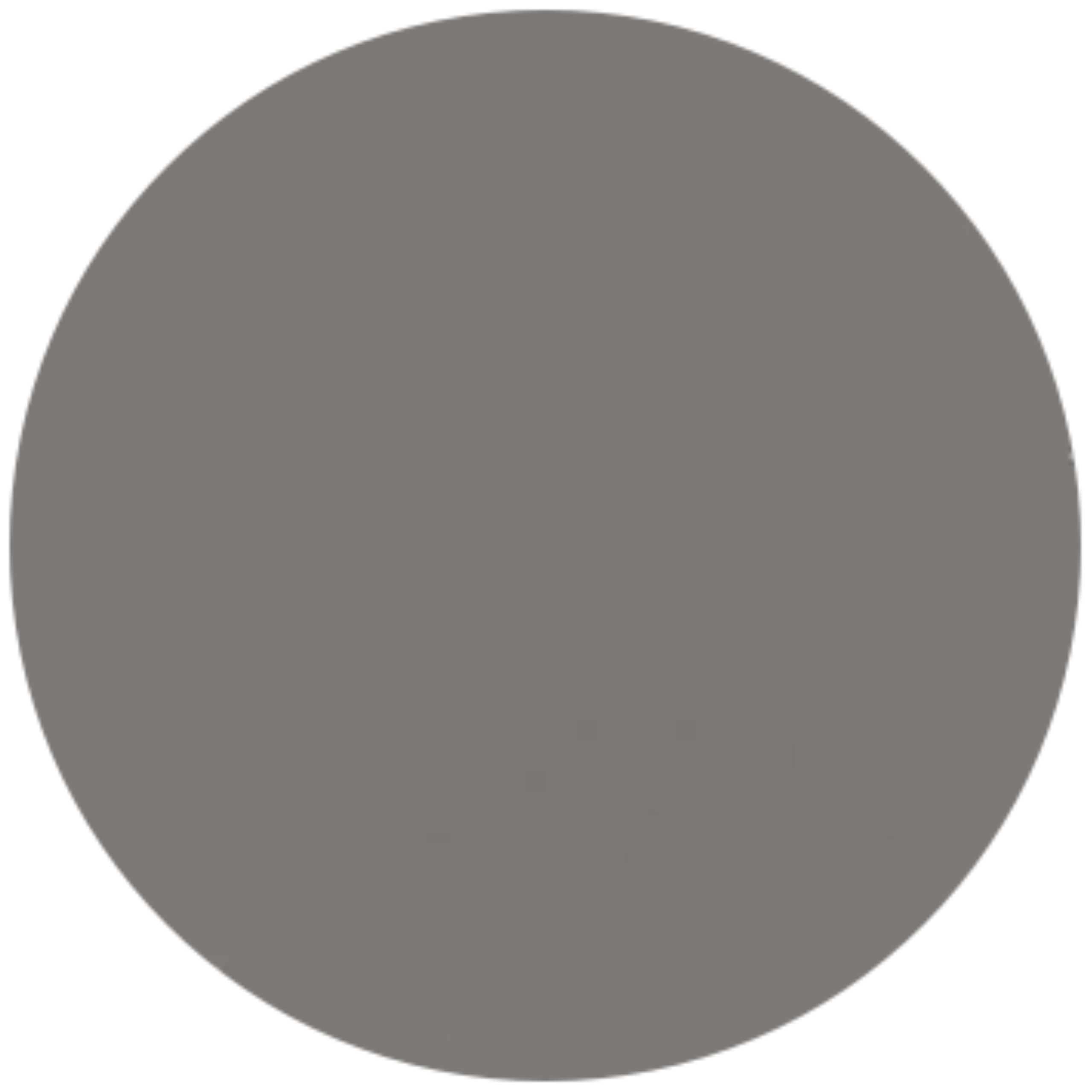 A circular close-up sample of a smooth, solid dark grey masonry finish. The surface has a clean, matte appearance with a fine-grained, uniform texture in a neutral slate or charcoal tone.