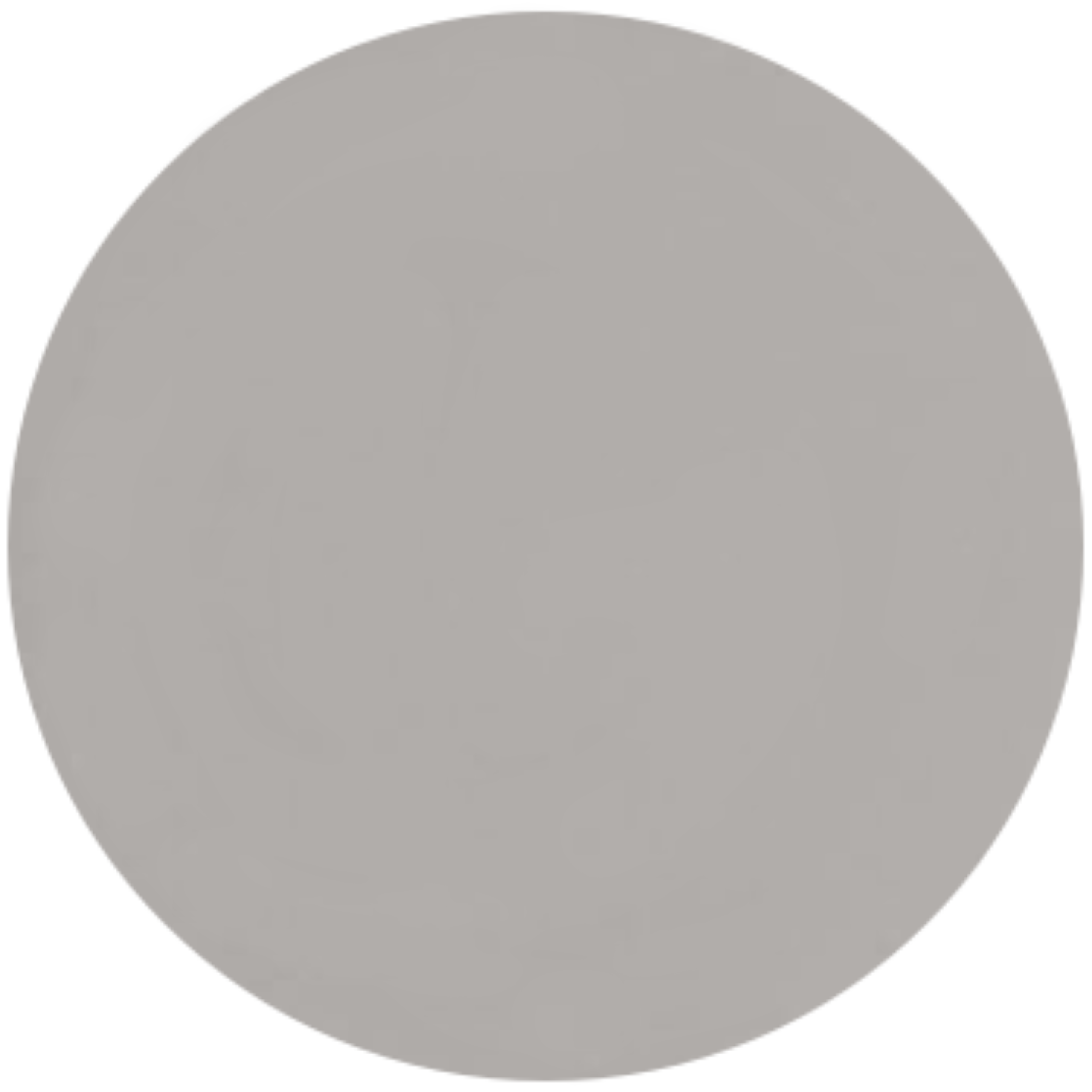 A circular close-up sample of a smooth, solid grey masonry finish. The surface has a clean, matte appearance with a fine-grained, uniform texture in a neutral slate or charcoal tone.